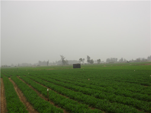 原料基地